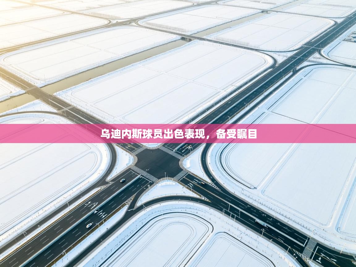 乌迪内斯球员出色表现，备受瞩目  第1张