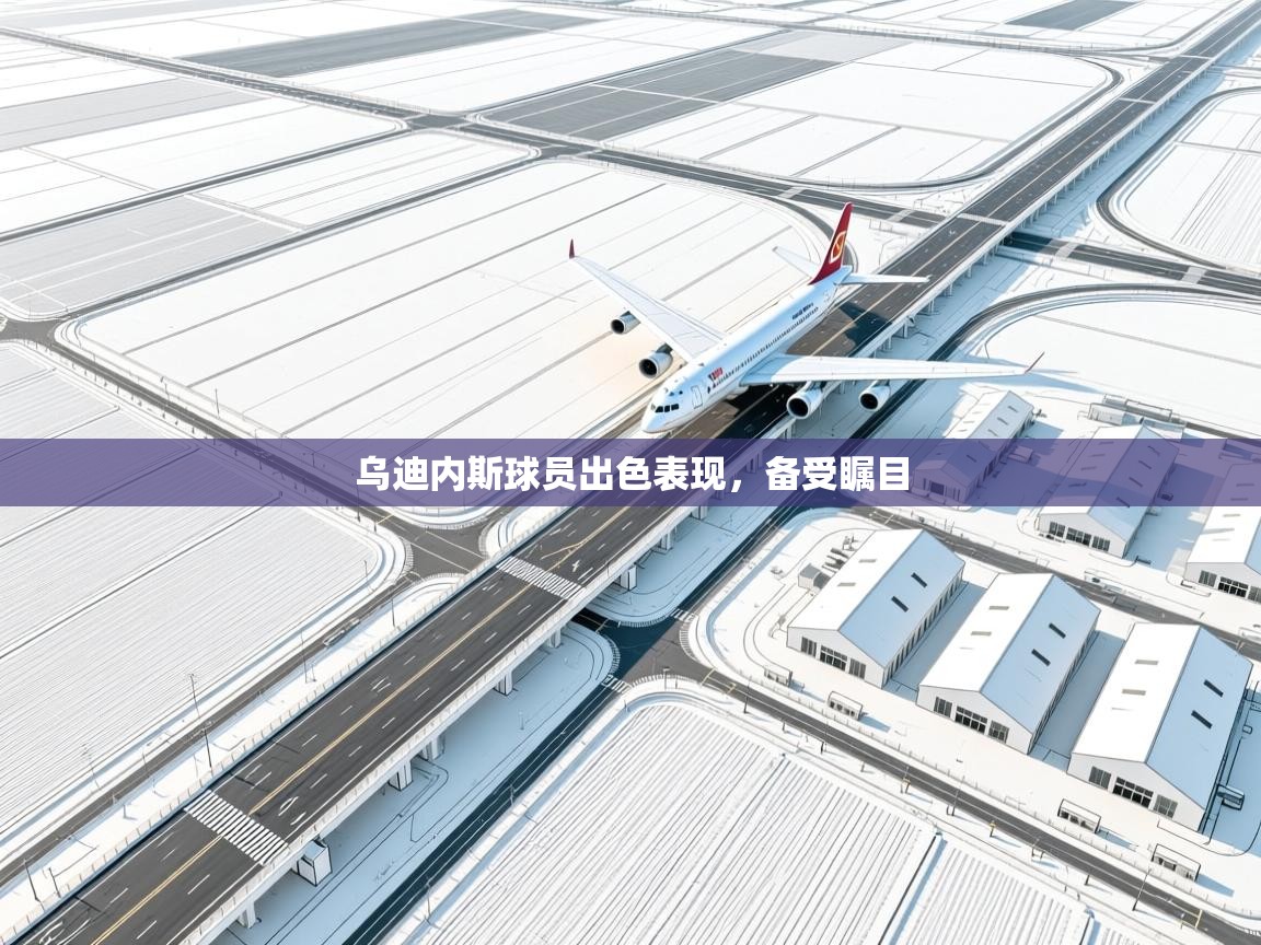 乌迪内斯球员出色表现，备受瞩目  第2张