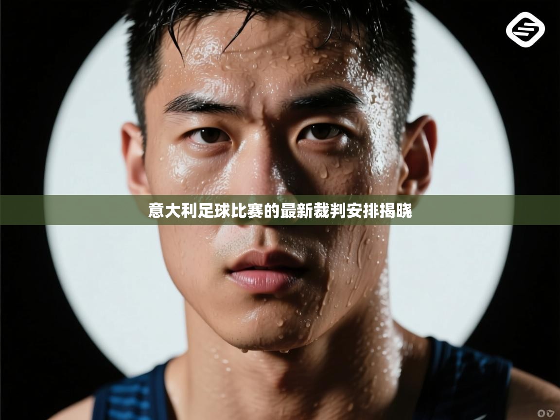 意大利足球比赛的最新裁判安排揭晓  第1张