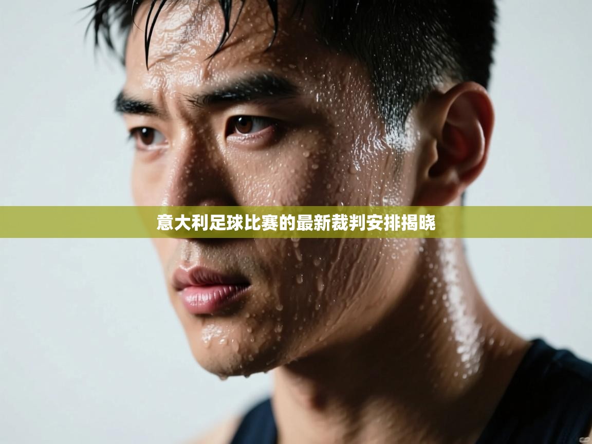 意大利足球比赛的最新裁判安排揭晓  第2张