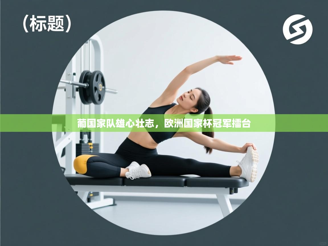 葡国家队雄心壮志，欧洲国家杯冠军擂台  第2张